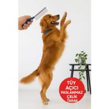 TOYFEST DostTarak-Tüy Açıcı Kedi Köpek Tarağı Tek Taraflı Metal Dişli Evcil Hayvan Bakım Fırçası