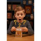 Toyfest Harry Potter Micro Magical Moments 3 Yıl Sürpriz Figür Koleksiyonluk Vitrinlik Oyuncak