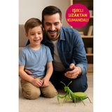 Toyfest Isıklı Uzaktan Kumandalı Dev Çekirge Şaka Oyuncak Hareketli Kızılötesi Interaktif Böcek Model - Renkli