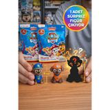 Toyfest Paw Patrol Sürpriz Paket Mini Figür Oyuncak Lisanslı Parti Hediyelik Çocuklar Için - 1 Adet