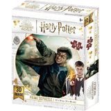 Toyfest Prime 3D Harry Potter Puzzle 300 Parça