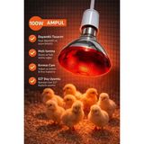 Toyigoo 100W Isıtıcı Ampul Kırmızı Isı Lambası Civciv Kümes Kuluçka E27 Duy Isıtma Ampulü IEG454 - 0,5 W - Altın
