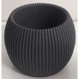 Toyigoo Mercan Saksı 2 Numara 0,35 Litre Su Hazneli Dekoratif Kaktüs Sukulent Saksı 11,8x9,2 cm TYG-84037 - Renkli