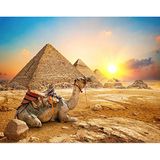 Toynk Giza Gündoğumu Antik Mısır Piramit Yetişkinler ve Çocuklar için Bulmaca | Zor 1000 Parça Puzzle Oyuncak | Eğlenceli Karantina Hediyesi | Oyun Gecesi için İnteraktif Zeka Mücadelesi