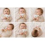 Toys Çıngırakbebek - AYICIK