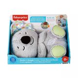 Toyz Dükkanım Grt59 Fisher-Price® Uyku Arkadaşı Koala / +0 Kız Erkek Çocuk Oyuncak Eğitici Oyuncaklar