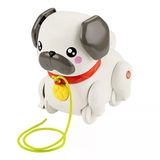 Toyz Dükkanım Htw94 Fisher-Price Minik Dostumla Yürüyüş Kız Erkek Çocuk Oyuncak Eğitici Oyuncaklar