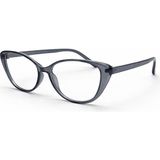Toz Vintage Selvex Füme Çerçeve Şeffaf Cam Optik Uyumlu Vintage Retro Gözlük