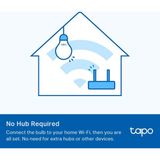 TP-LINK Tapo L510E Akıllı Wi-Fi Ampul 2'li Paket - E27 8.7W 60W