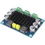 Tpa3116d2 Xh-M542 Mono 100W Dijital Ses Amfi Devresi Kartı