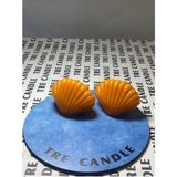 TR Candle Inci Kabuk Mum - Turuncu