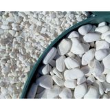 Tr Dolomit Taş 50 kg 4-6 cm Beyaz Dolomit Bahçe Taşı Çakıl Taşı Saksı Taşı Akvaryum Terar - 0,7 - 1,3 cm