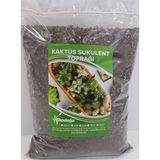 Tr Kaktüs Toprağı 1 Litre Sukulent Aloe Vera Özel Karışım Ithal Torf Pomza Perlit Vermikulit - Çok Renkli
