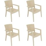 Tr Terra Rattan Koltuk, 4 Adet, Bahçe Sandalyesi, Krem - Altın