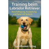 Training beim Labrador Retriever: Für mehr Ausgeglichenheit, Bindung und Spaß im Alltag (Labrador Kompaktreihe)