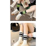 Trampler Pamuklu Çemberli Çizgili Kolej Tenis Unisex Çorap 5 Çift - Çok Renkli