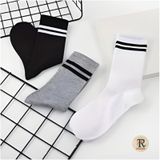 Trampler Unisex 6 Çift Çemberli Gri Siyah Beyaz Uzun Kolej Tenis Çorap Çok Renkli