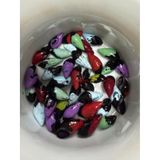 Transgenik Renkli Bonibon Salyangoz 5 Adet 1-2 Cm Yosun Yiyici