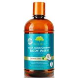 Tree Hut Shea Moisturizing Coconut Lime 502 ML Vücut Şampuanı
