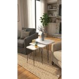 TreeAndTech Metal Ayaklı Zigon Sehpa 3 lü Set