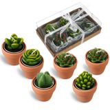 Treela 6 Adet Sukulent Mum Dekoratif Kaktüs Tealight Mum Yenilik Çay Işıkları El Yapımı Bebek Duşu Mum Dekorasyonları Şık Bitki Mumu Mini Terakota Kil Mumlukları Doğum Günü Düğün için