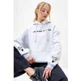 Trend Alaçatı Stili Kadın Grimelanj Kapüşonlu Önü Ve Kolları Nakışlı 3 İplik Şardonlu Sweatshirt ALC-X13077