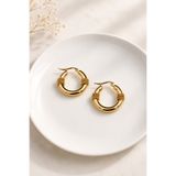 Trend Collection Kadın Gold 2,5 cm Paslanmaz Çelik Halat Desenli Halka Çift Küpe