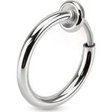 Trend Collection Unisex Gümüş Çelik Deliksiz Sıkıştırmalı Piercing Tragus Küpe
