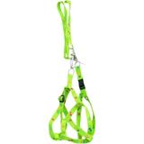 Trend Kapında Kedi Köpek Göğüs Tasması Neon Yeşili