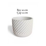 Trend KenT 1 ADET El Yapımı Beton Saksı , Kaktüs,Sukulent Bitki Saksısı Hediyelik Aranjman İçin Uygun