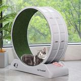 Trend Store Kedi Egzersiz Çarkı – Sessiz Dayanıklı Koşu Bandı, Kedi Tekerleği ve Küçük Köpek Fitness Çarkı - Turkuaz