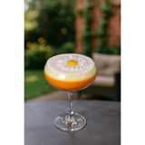 Trend Yankı Papatyalı Mum Martini Bardağında - 1 Adet