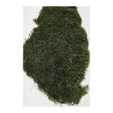 trendbahce Doğal Kaya & Ağaç Yosunu,Teraryum Yosunu 60x60cm Canlı Bitki Moss