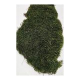 trendbahce Doğal Kaya ve AğaçYosunu, Teraryum Yosunu,KuruYosun 25x25 cm