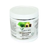 Trendexa At Kestanesi Balsamı 500 ml