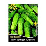 Trendexa Hıyar Tohumu Salatalık Kornişon Turşuluk, 5 G (~ Takribi 100 Tohum)