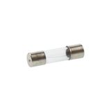 Trendexa Mikrodalga Cam Sigorta 5A 20 mm F5AL 250V, Gri, 10 Adet