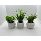 Trendkent Mini Beton Saksı 3'lü Set Gerçek Yosunlu Yapay Çiçek Aranjman Hediyelik Paket Saksı