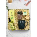 Trendmiya Nature Kolonya & Sukulent & 2'Li Bitki Çayı & Yeşil Kristal Kupa Hediye Seti