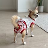 TrendyPati Dişi Köpek Regl Külodu ve Tshirt Takımı – Ayarlanabilir, Yıkanabilir, Hijyenik Köpek Külodu - Bordo