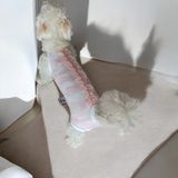 TrendyPati Köpek Regl Külotu ,dişi Köpek Regl Zıbın Külot, Dişi Köpek Periyot Külotu-S BEDEN - Açık Pembe
