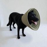 TrendyPati Köpek Sünger Koni Yakalık , Elizabeth Yakalık, Ameliyat Sonrası Koruyucu Yakalık -Küçük Orta ve Büyük Irk - Haki - Yeşil - 2XL