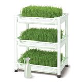 Tribest Sproutman’s Topraksız Buğday Çimi Yetiştiricisi