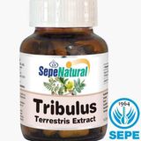 Tribulus Extract 90 Kapsül 480 Mg Demir Dikeni Ekstrakt Ekstre