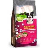 Trick & Treat Kuzu Etli Köpek Maması 15 kg