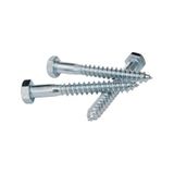 Trifon Vida 8X50 Mm Altı Köşe Anahtar Başlı Vida 10'Lu Paket