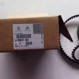 Trıger Setı Peugeot (Tu3jp) 1.4 8V 106+206+Partner+306 0831.Q4
