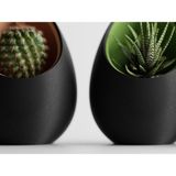 Triora Design Eggpod Yumurta Tasarımlı Dekoratif Sukulent Saksısı Modern Minimalist Kaktüs Saksısı - 16cm x 12cm - 1 Adet