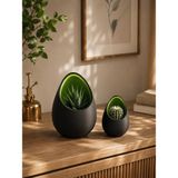 Triora Design Eggpod Yumurta Tasarımlı Dekoratif Sukulent Saksısı Modern Minimalist Kaktüs Saksısı - 16cm x 12cm - 10cm x 8cm - 2 Adet