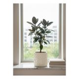 triora LastRock Model: Modern Ev Dekorasyon Saksı 15cm yükseklik x 17,5cm genişlik 3D Tasarım PLA